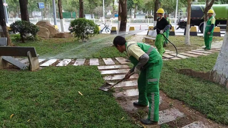 别墅庭院园林绿化工程：价格构成与考量因素