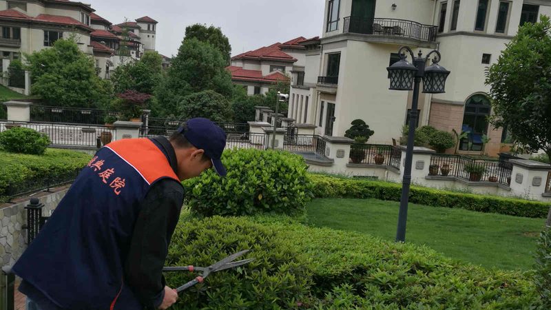 办公楼屋顶绿化，价格如何？揭秘影响成本的关键因素**