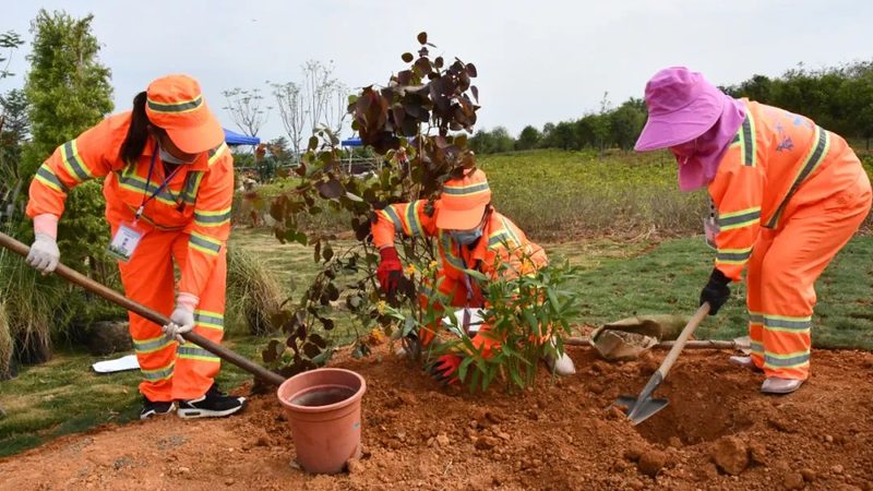 植物墙安装费用：揭秘影响价格的关键因素**