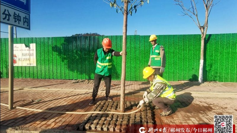 庭院草坪卷：如何选择合适的厂家与价格
