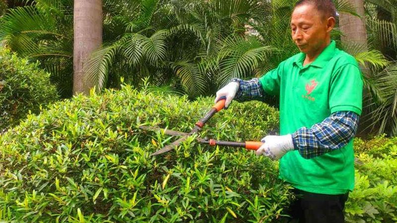 别墅花园设计效果图：材质搭配的艺术与科学