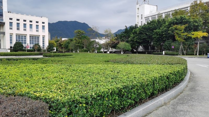 园林工程报价单：如何准确评估与选择**