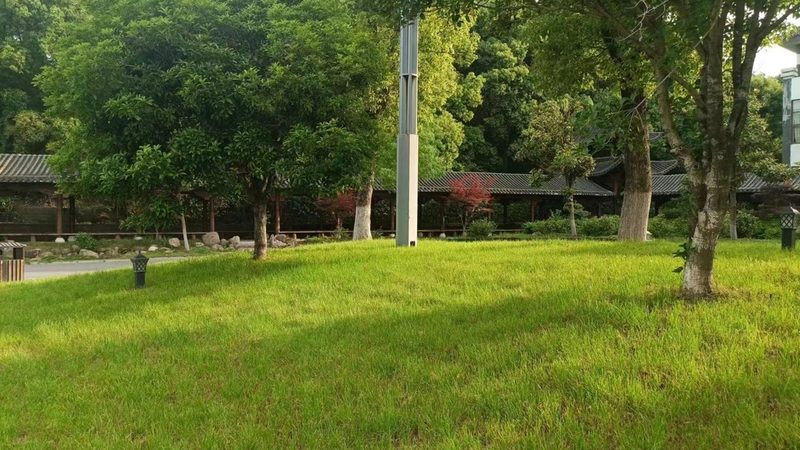 植物墙价格之谜：揭秘一平米成本构成