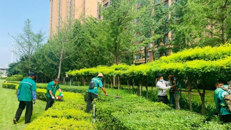 别墅花园设计收费通常包括以下几部分：